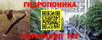 альфа пвп Краснознаменск